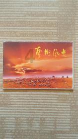 奇迹暖暖