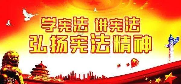 星动，只为你